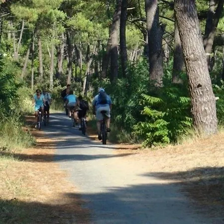 Villa Proximite Golf Et Centre Equestre Saint-Palais-sur-Mer